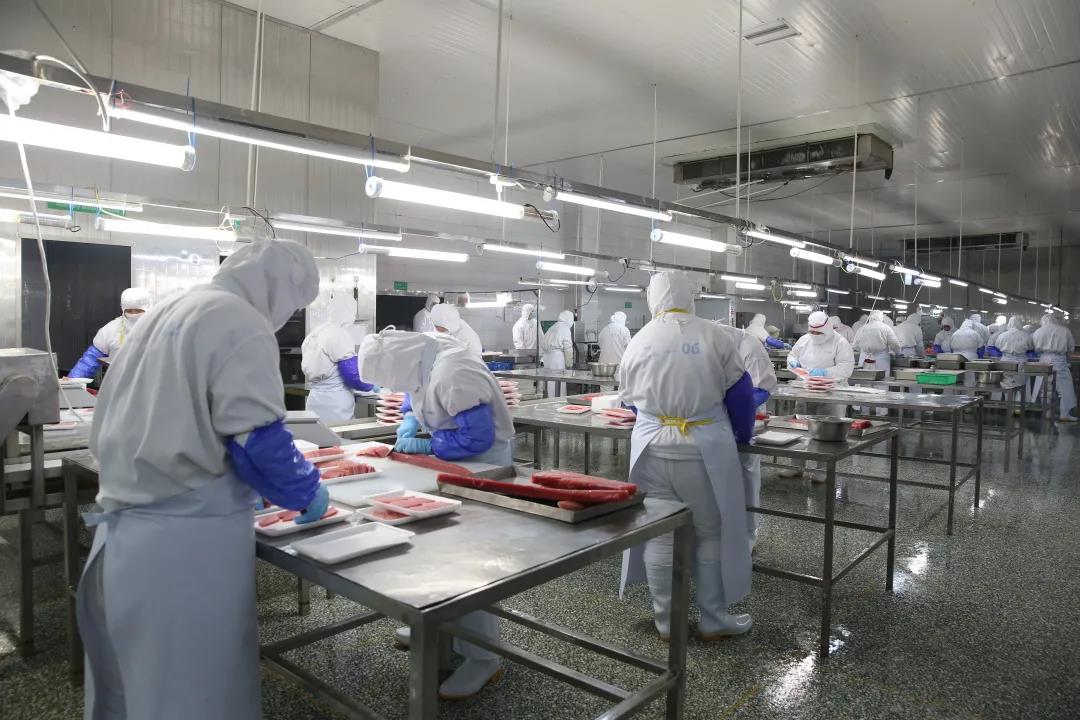 1629248566130945.jpg 1629248566130945.jpg