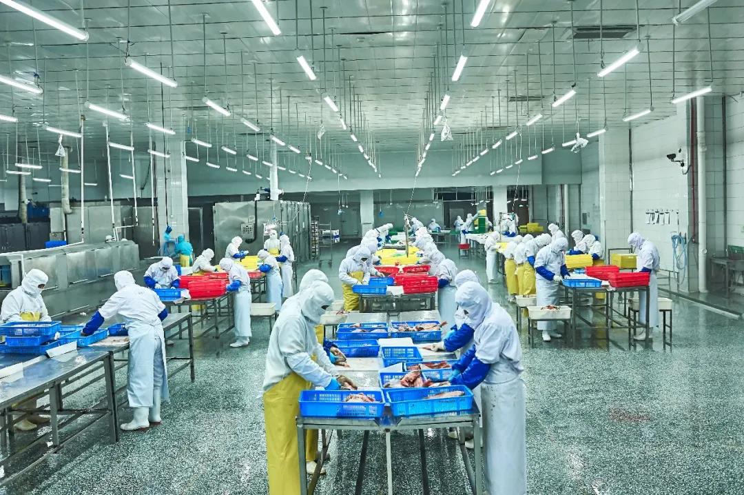 1631578746763340.jpg 1631578746763340.jpg