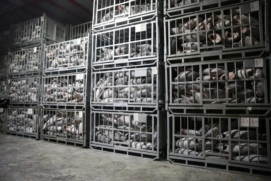 1640153674905603.jpg 1640153674905603.jpg