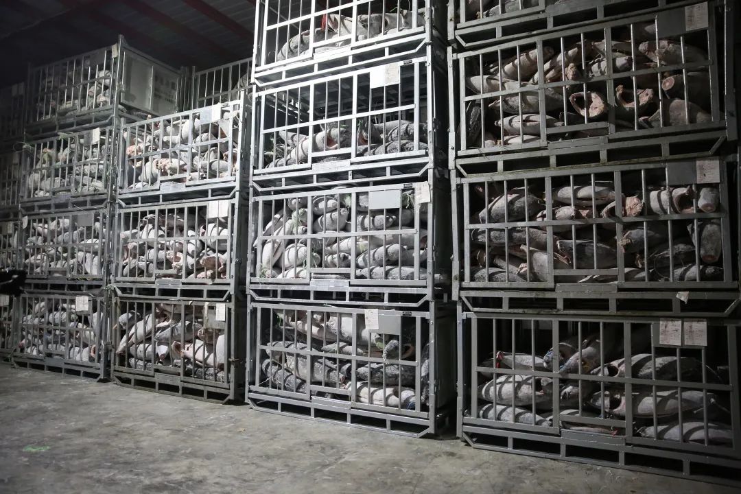 1673316994119236.jpg 1673316994119236.jpg