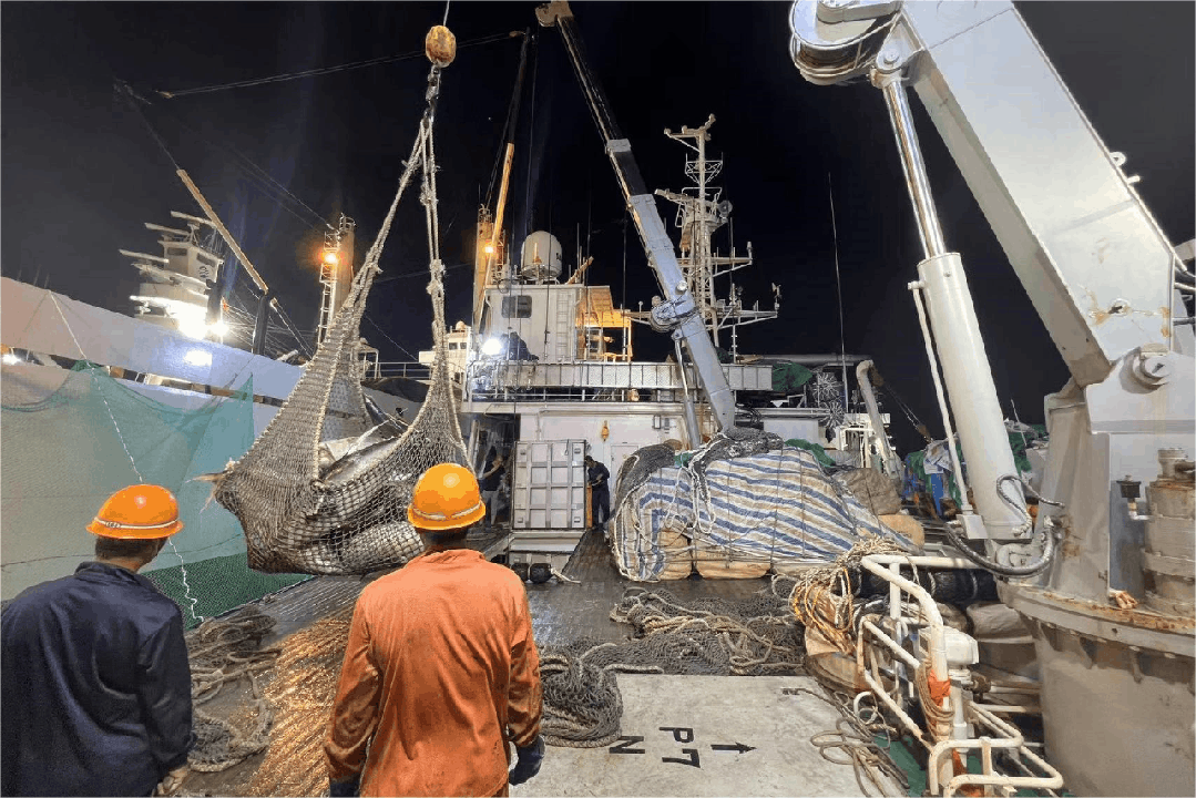 1687913103263268.gif 1687913103263268.gif