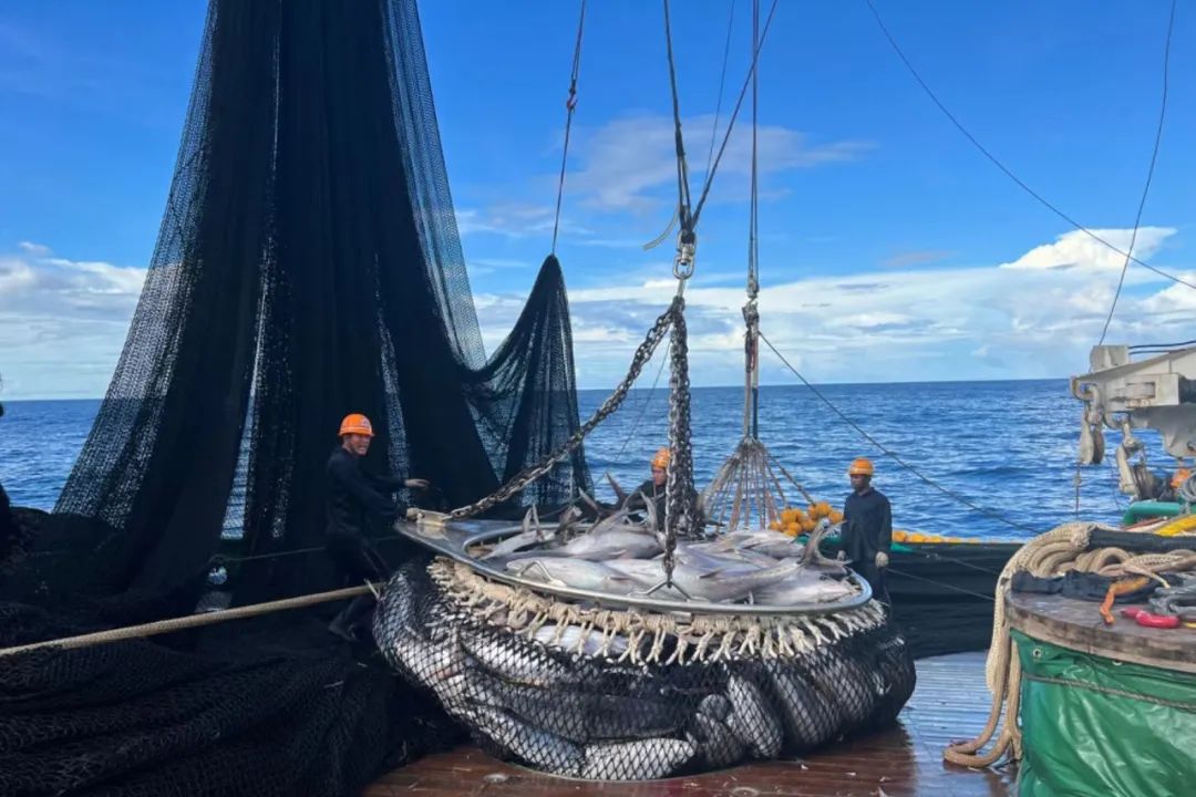 1691488176724138.jpg 1691488176724138.jpg