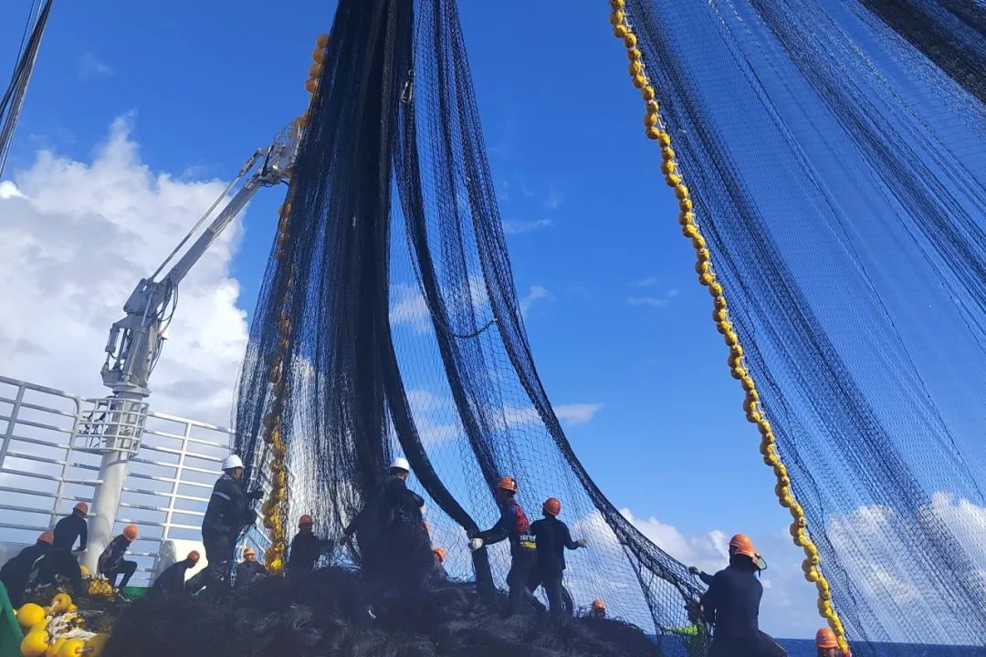 1691488196541727.jpg 1691488196541727.jpg