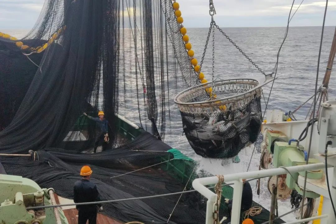 1694049080301480.jpg 1694049080301480.jpg