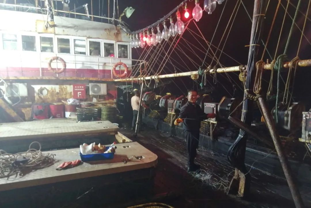 1694049151699137.jpg 1694049151699137.jpg