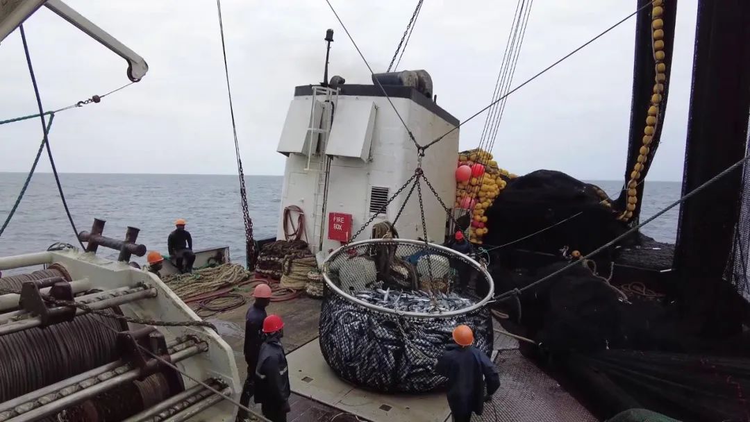 1694049203106847.jpg 1694049203106847.jpg