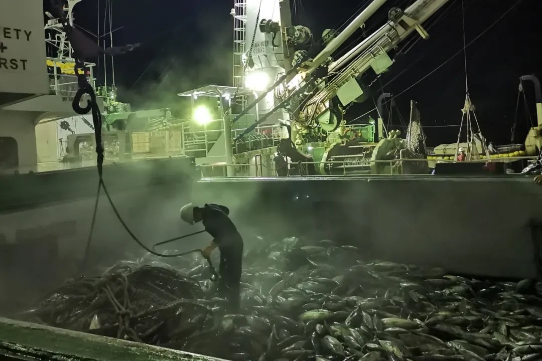 1694049358523567.jpg 1694049358523567.jpg