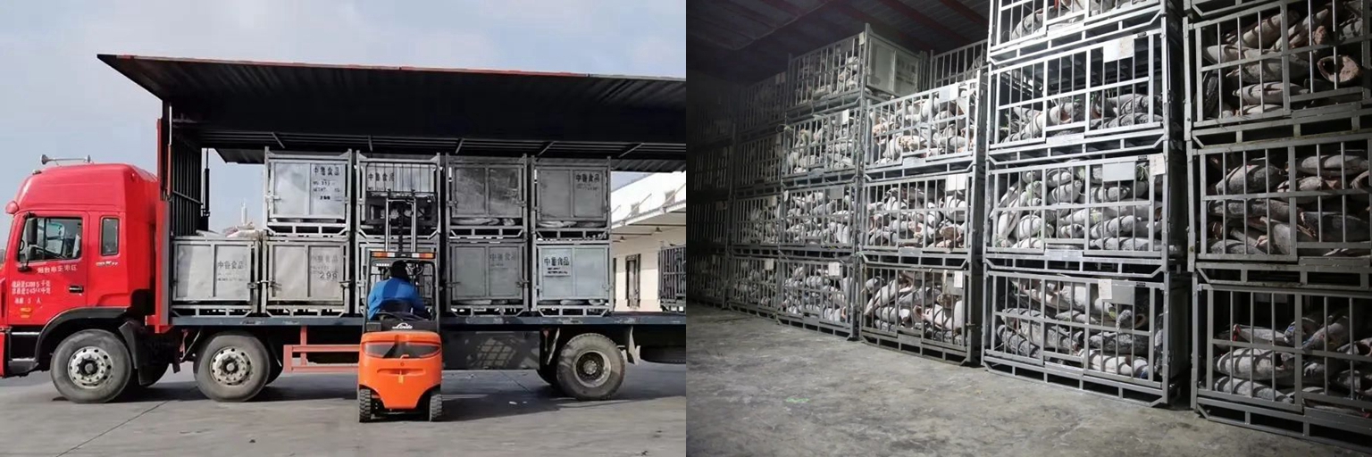 1694049517923462.jpg 1694049517923462.jpg