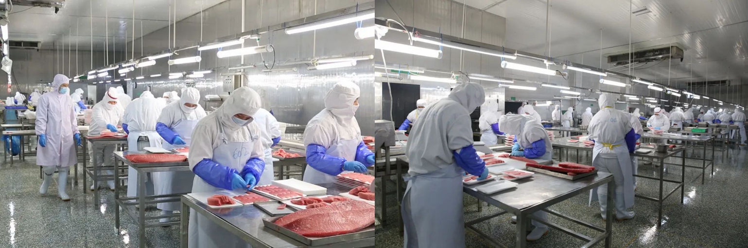 1694049537535745.jpg 1694049537535745.jpg