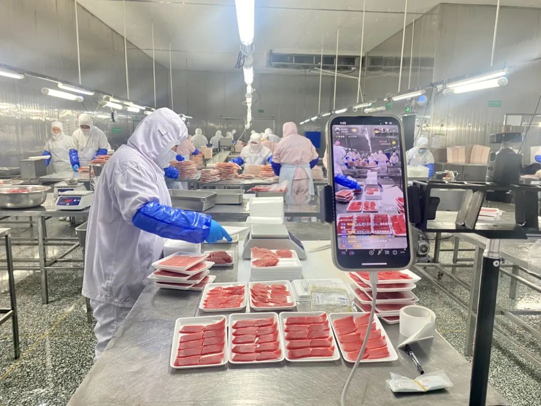 1694049566119284.jpg 1694049566119284.jpg