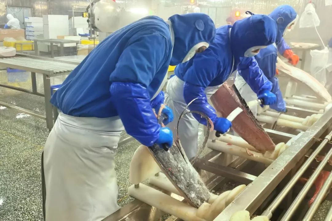 1694488161469907.jpg 1694488161469907.jpg