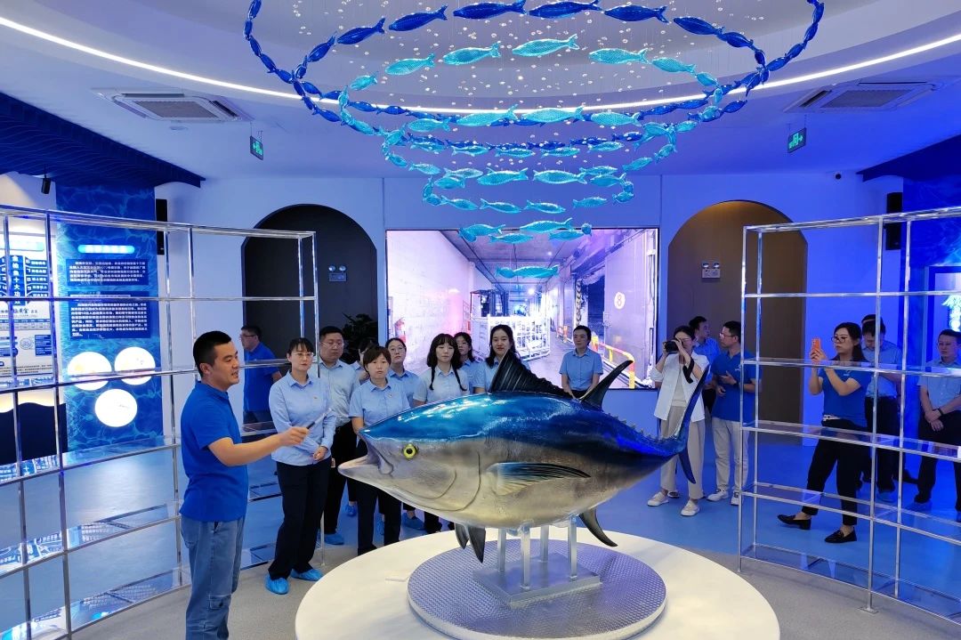 1695194109342576.jpg 1695194109342576.jpg