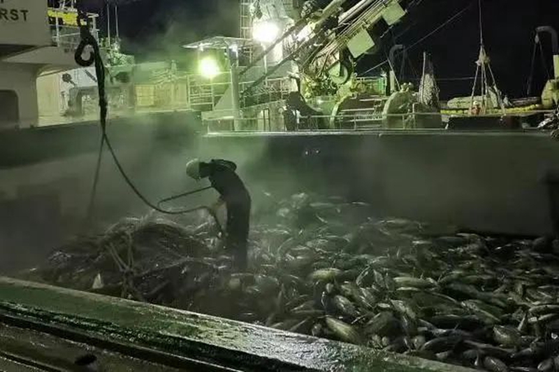 1702954108595344.jpg 微信圖片_20231219104441.jpg