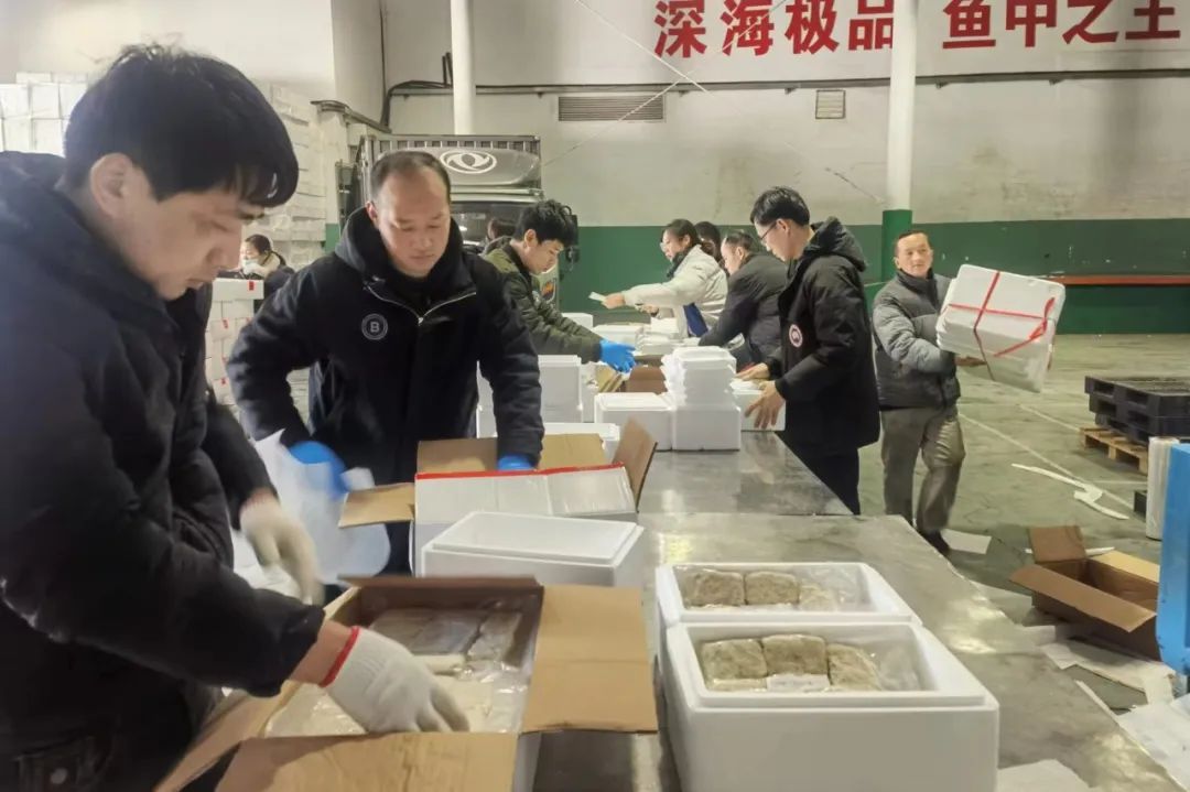 1708306863912661.jpg 1708306863912661.jpg