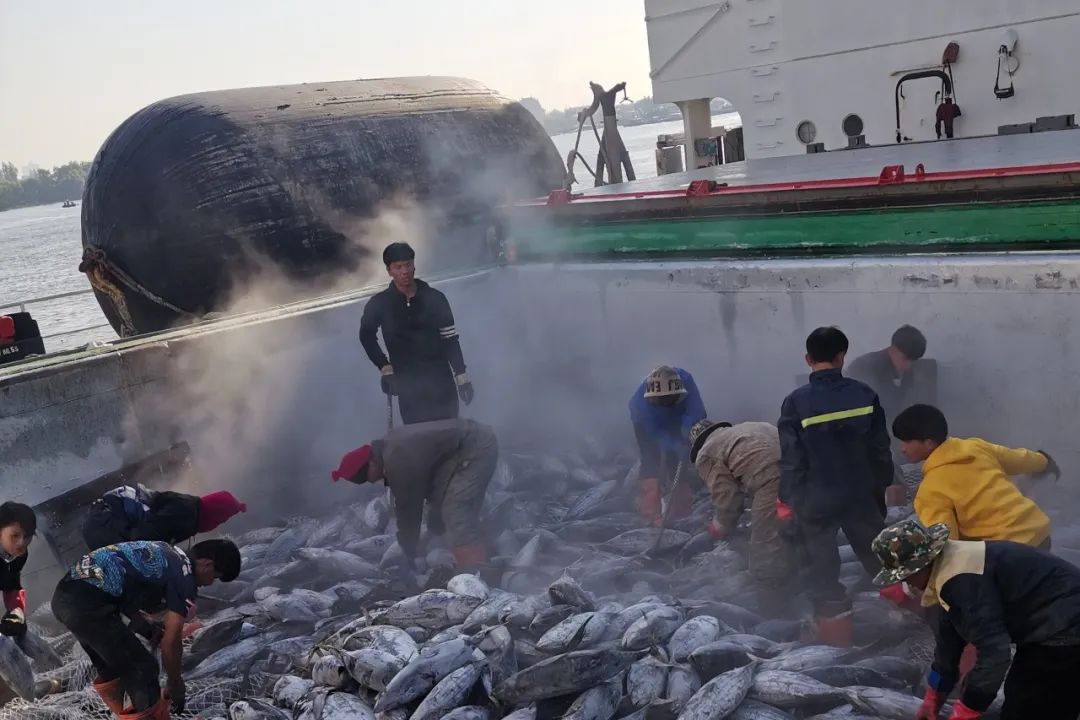 1708308380675039.jpg 1708308380675039.jpg