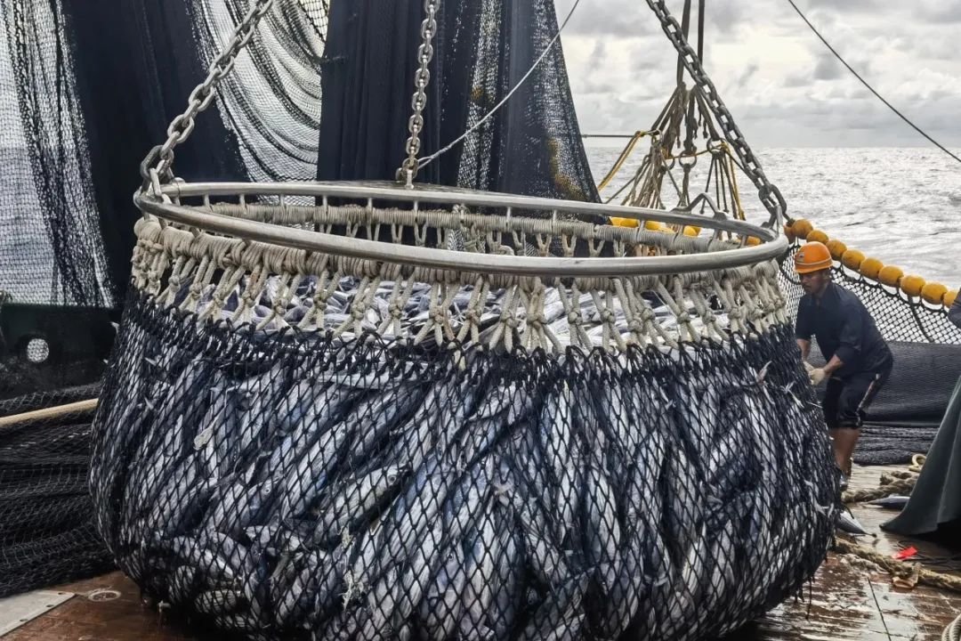 1708308399242010.jpg 1708308399242010.jpg