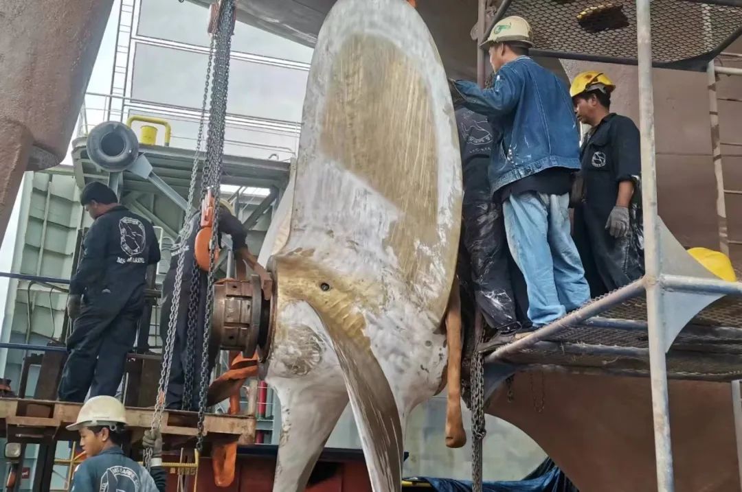 1712882000365296.jpg 1712882000365296.jpg