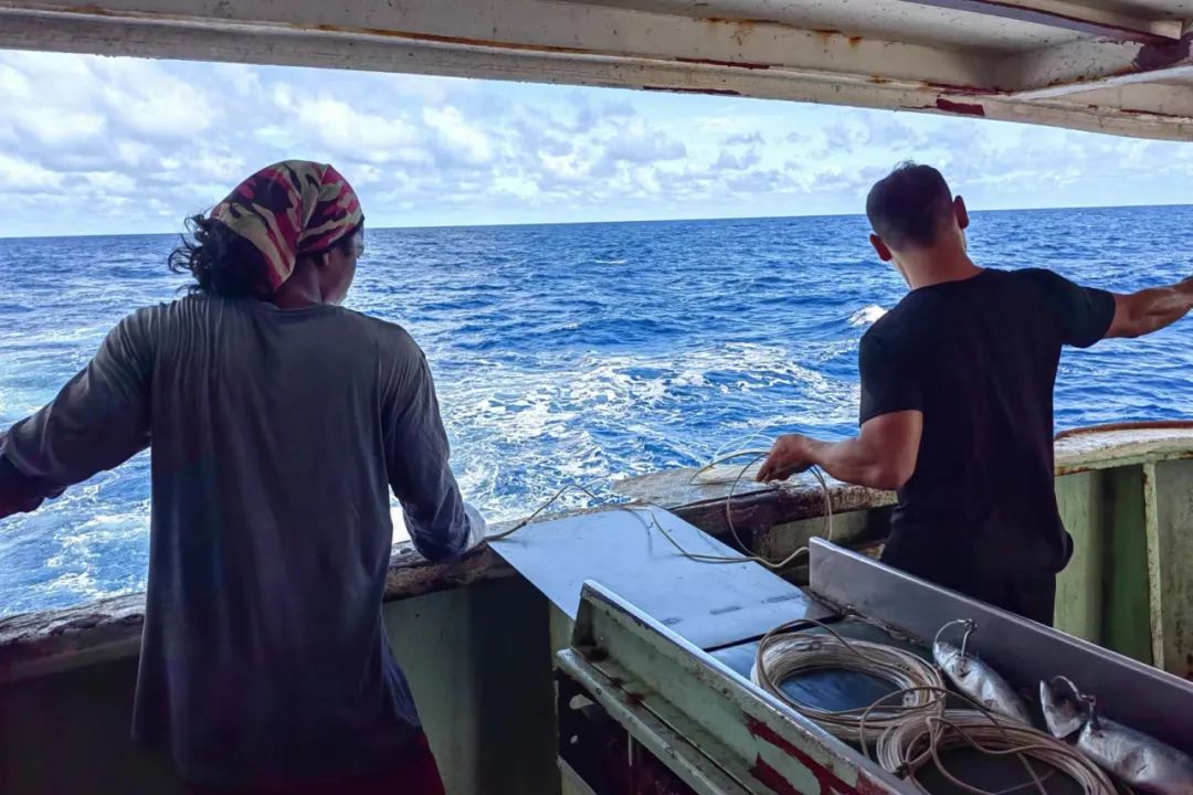 1716878355120871.jpg 1716878355120871.jpg