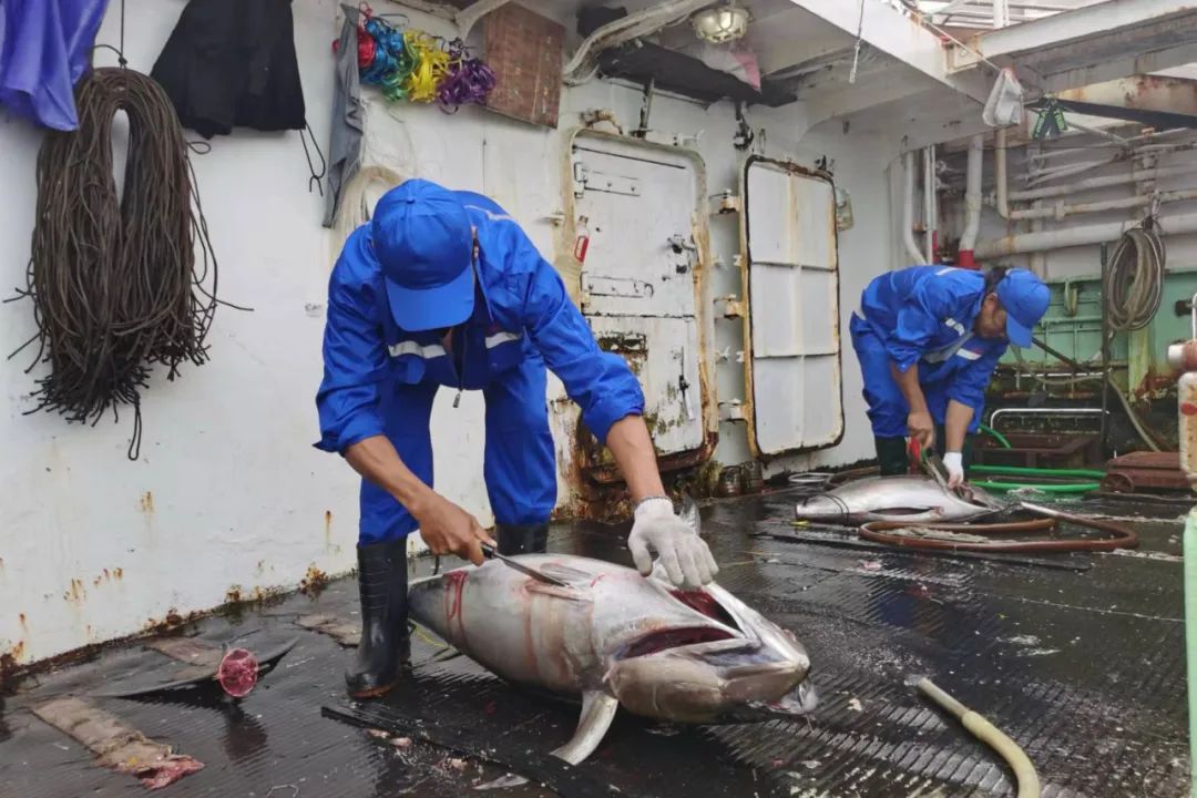 1716878402112872.jpg 1716878402112872.jpg