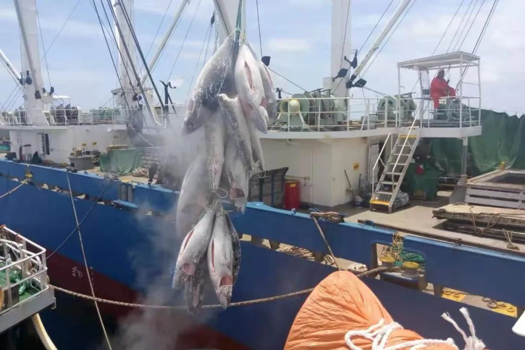 1716878420167135.jpg 1716878420167135.jpg