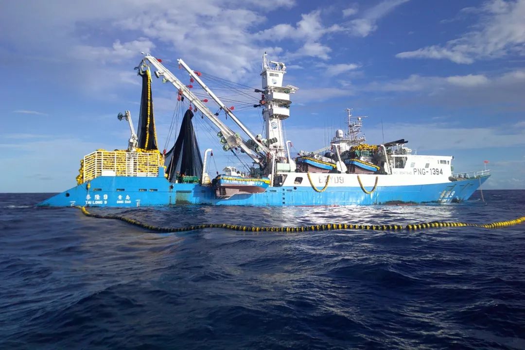 1716878479263311.jpg 1716878479263311.jpg