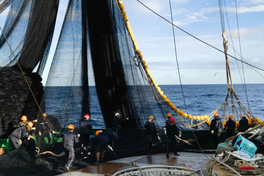 1716878495751205.jpg 1716878495751205.jpg