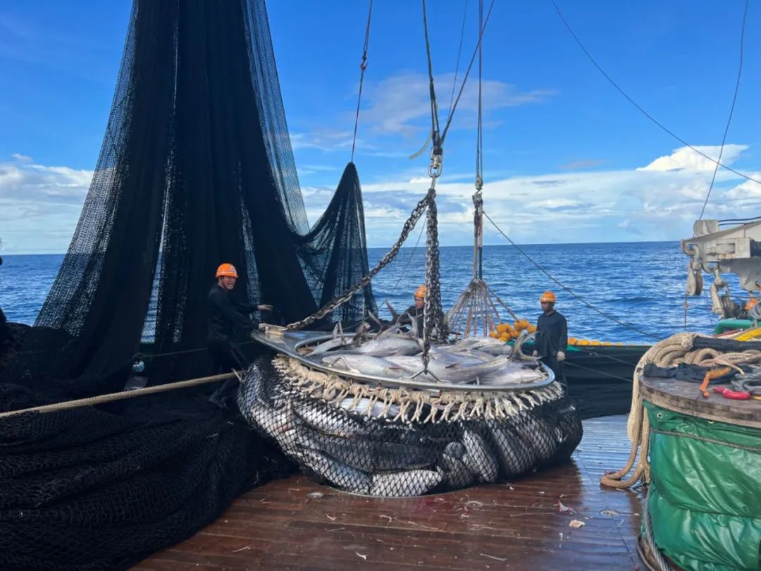 1716878512920019.jpg 1716878512920019.jpg