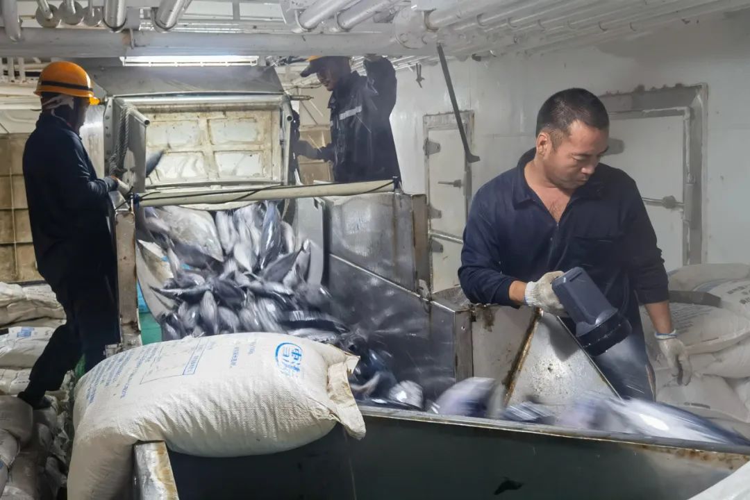 1716878529397699.jpg 1716878529397699.jpg