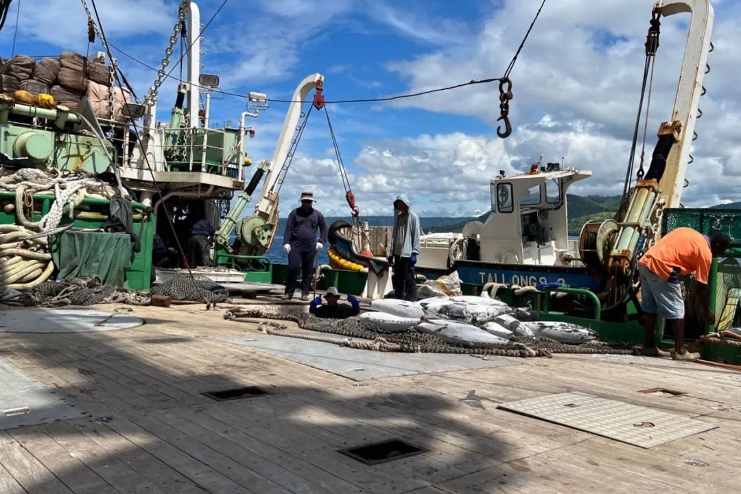 1716878548167350.jpg 1716878548167350.jpg