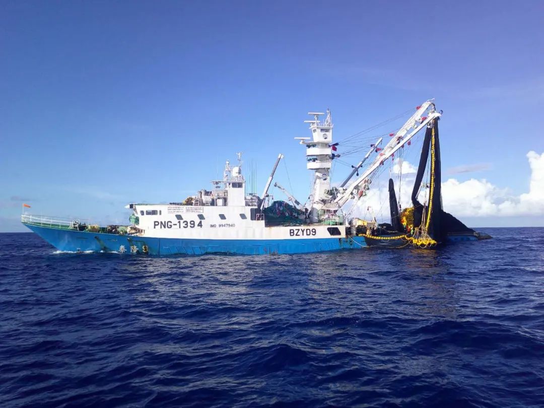 1717380866572322.jpg 1717380866572322.jpg