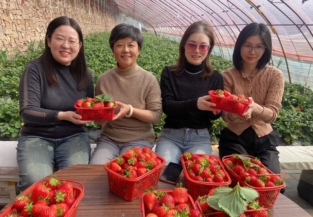 1741849009648531.jpg 微信圖片_20250313145545.jpg